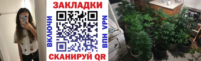 Виды наркотиков купить Беломорск COCAIN  Меф  Галлюциногенные грибы  Марихуана 
