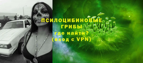 jwh Пересвет