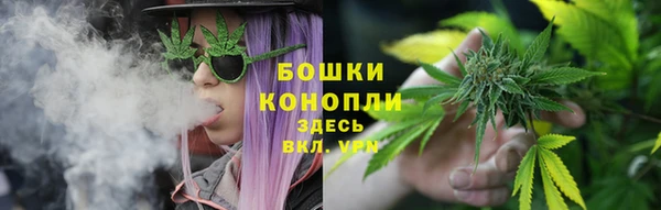 стафф Аркадак