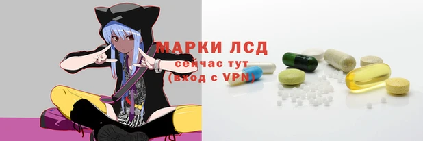 стафф Аркадак