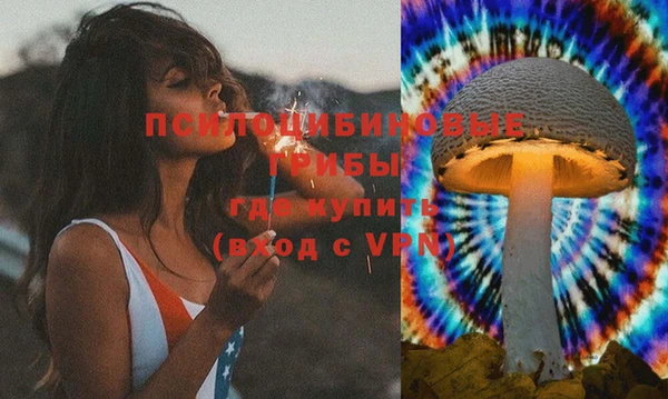 прущая мука Армянск