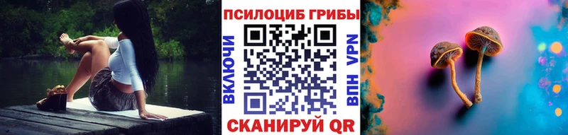 где купить наркотик  Беломорск  blacksprut ТОР  Галлюциногенные грибы Cubensis 